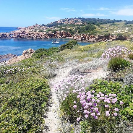 B&B La Tasgia Aggius 외부 사진