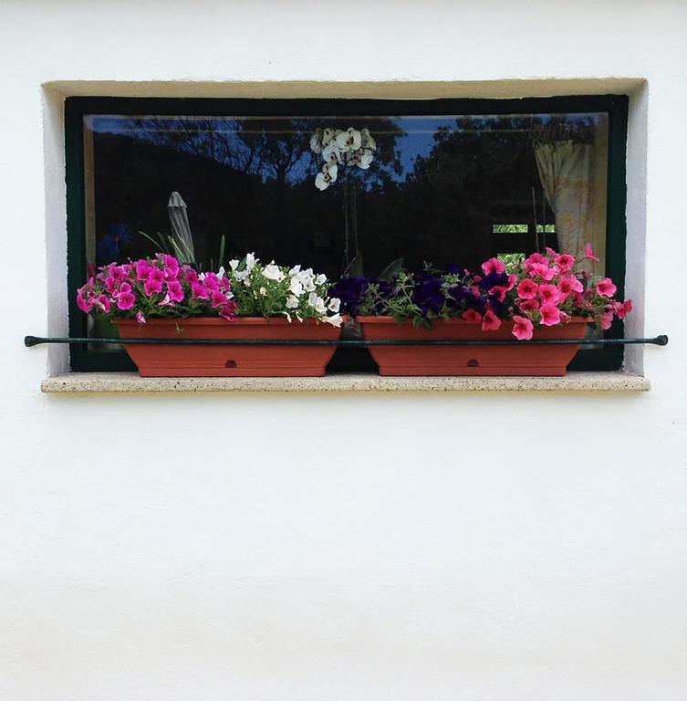B&B La Tasgia Aggius 외부 사진