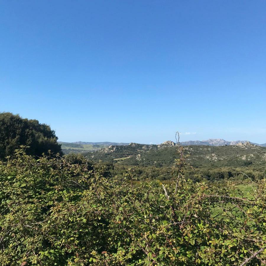 B&B La Tasgia Aggius 외부 사진