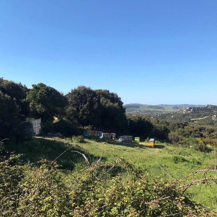B&B La Tasgia Aggius 외부 사진