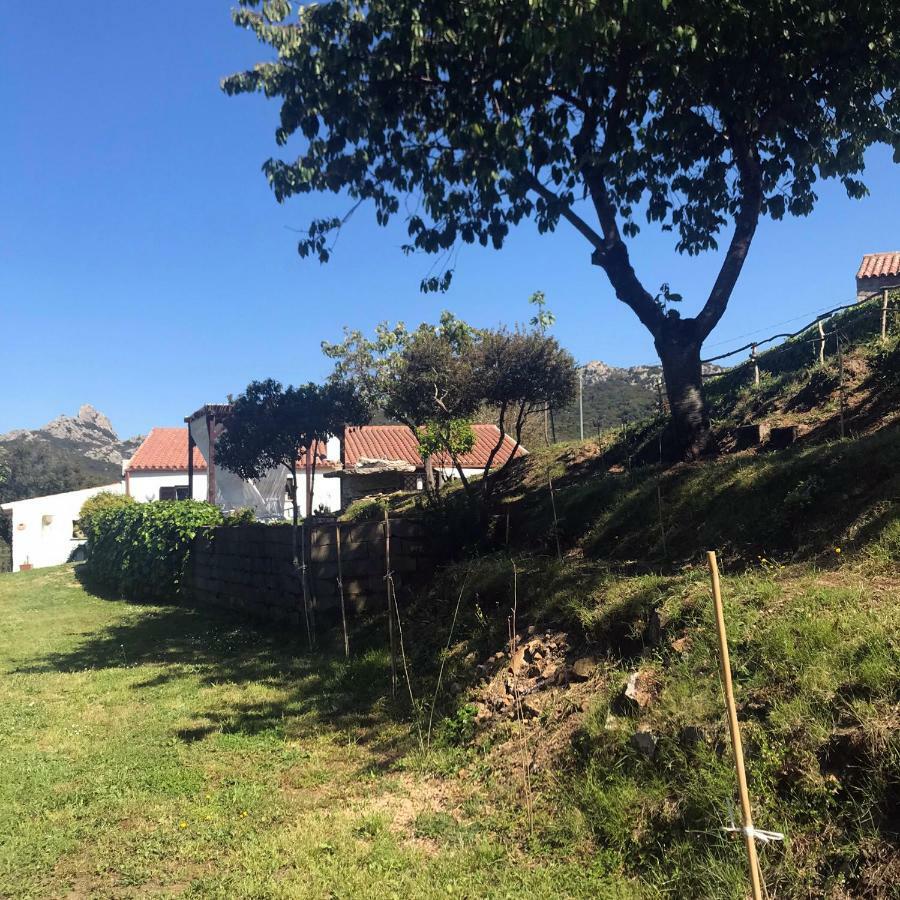 B&B La Tasgia Aggius 외부 사진