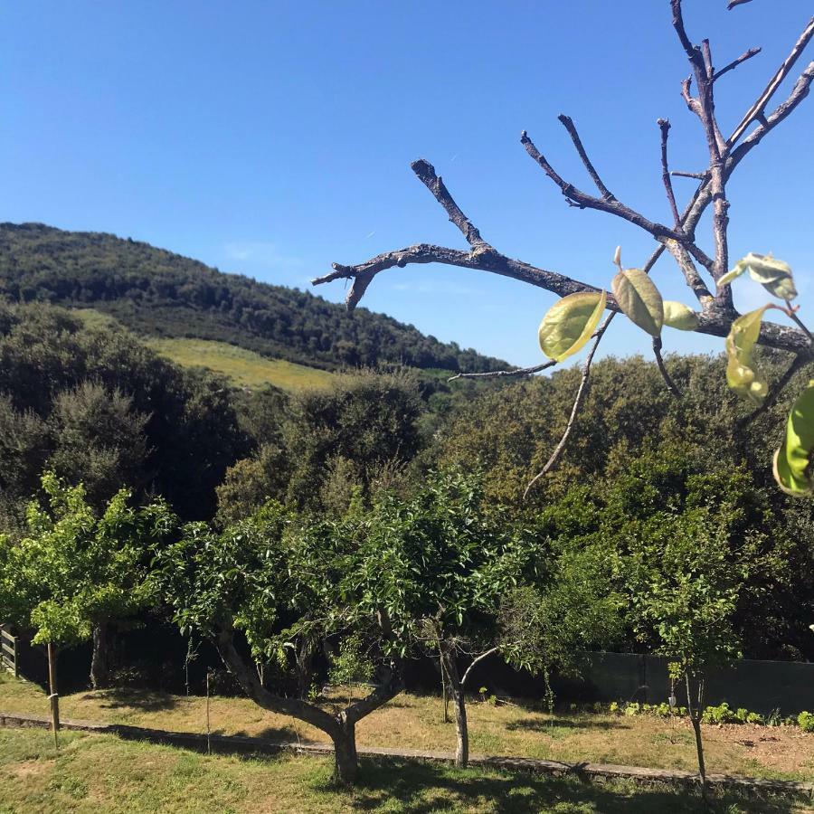 B&B La Tasgia Aggius 외부 사진