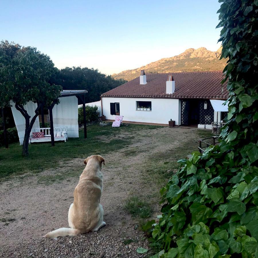 B&B La Tasgia Aggius 외부 사진