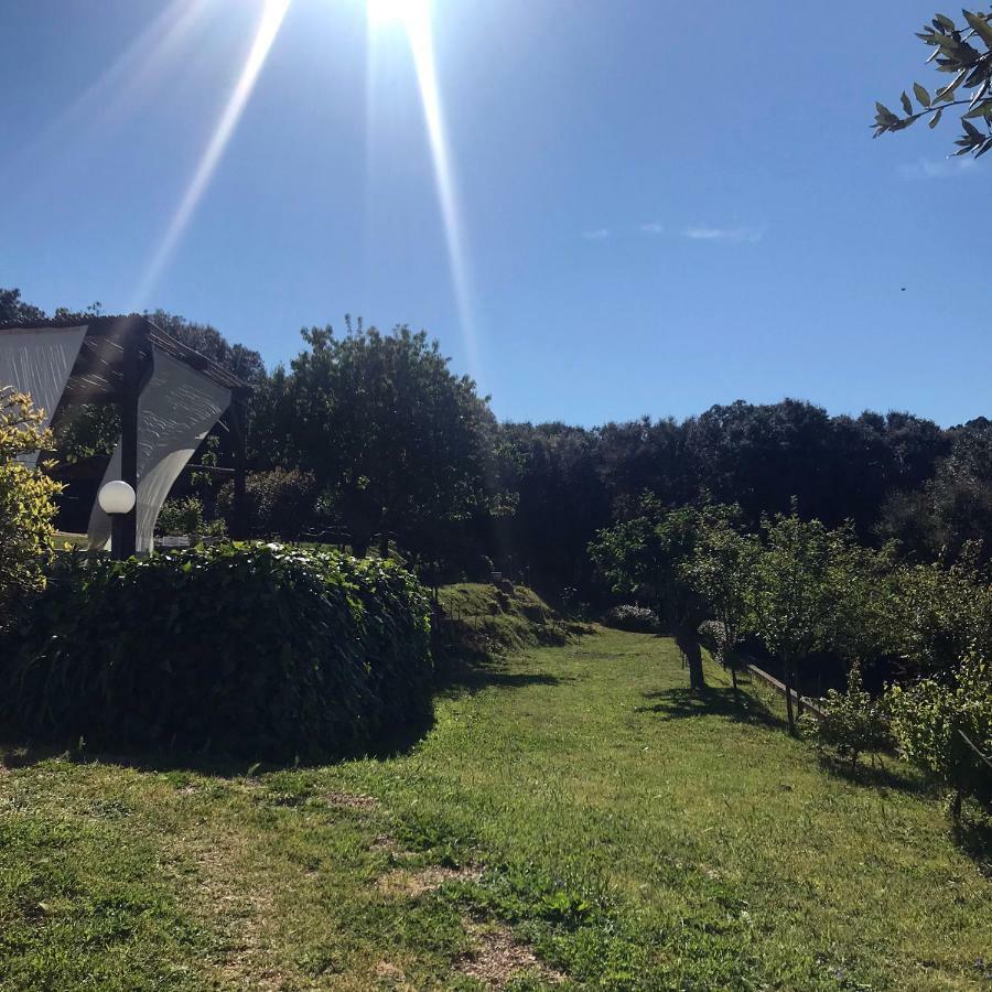 B&B La Tasgia Aggius 외부 사진