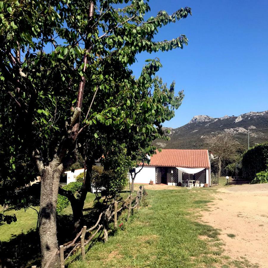 B&B La Tasgia Aggius 외부 사진