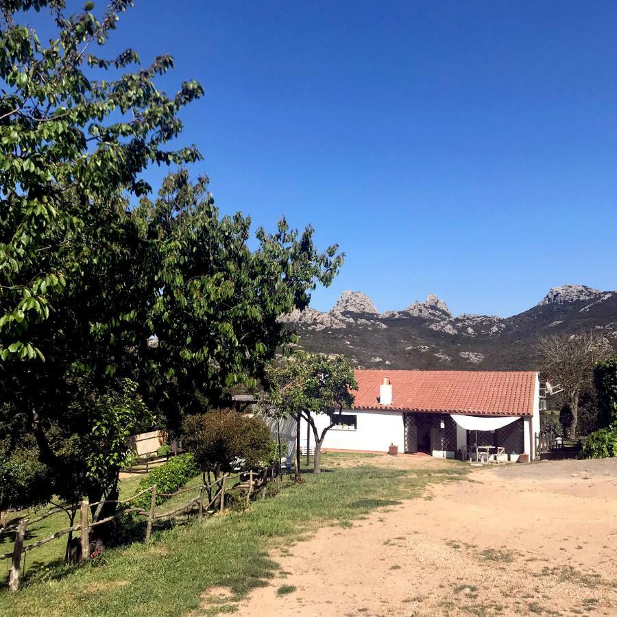 B&B La Tasgia Aggius 외부 사진